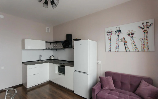 Apartments on line 26 of Vasilyevsky Island 7