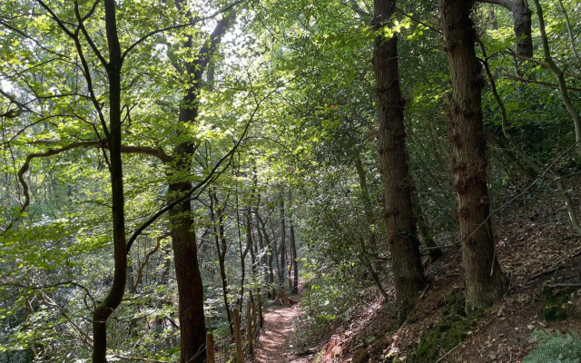 The Forester Schoorl