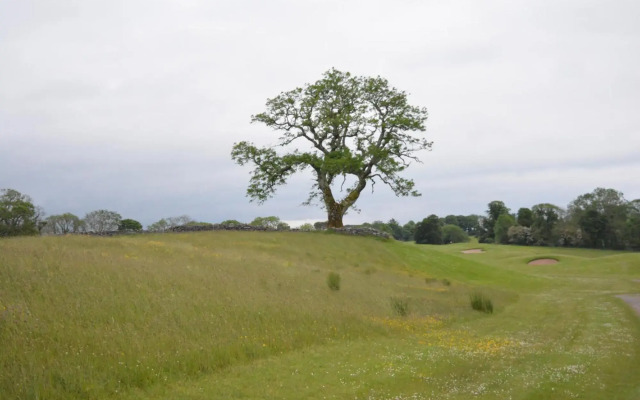 The Courtyard, Castle Dargan