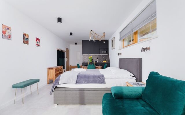 Kościelisko Studio & Parking by Renters