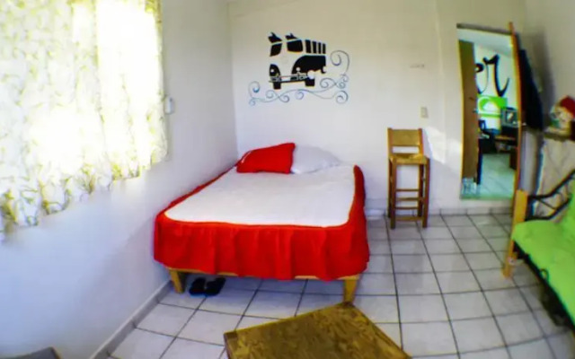 Surf Hostel Cabo "The Riptide"