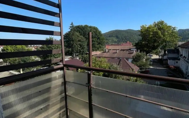 Adina Apartament