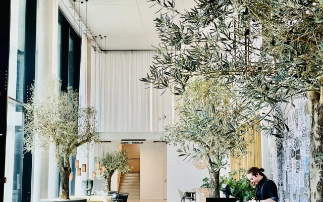 Royal Swan Skyline, Wien