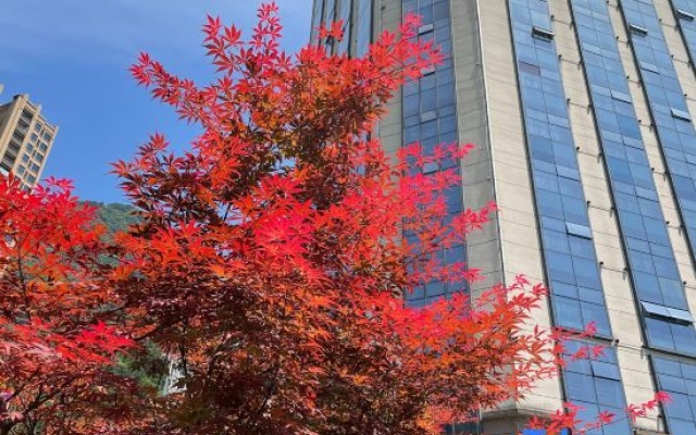 River & Holiday Rezen Hotel Pengshui