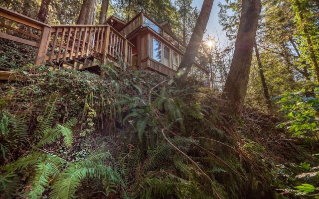The Tree House Cottage