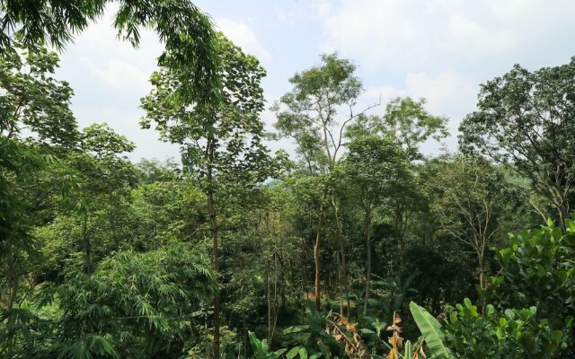 Penginapan Villa Surya Alam