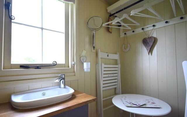 Keepers Cosy, Shepherds Hut , Alresford 491853
