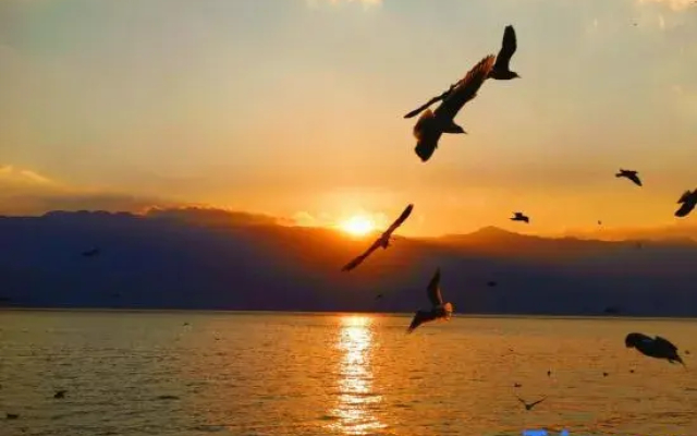 Dali Xingui Seaview Inn