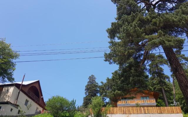 Villa B Barleon-Bakuriani