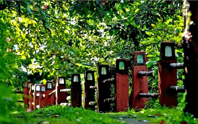 Wayanad Silverwoods Forest Resort & Spa