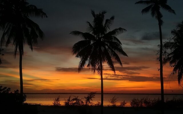Kae Funk Sunset Bungalows