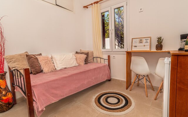 Dimelal Mikonos Downtown Apartments