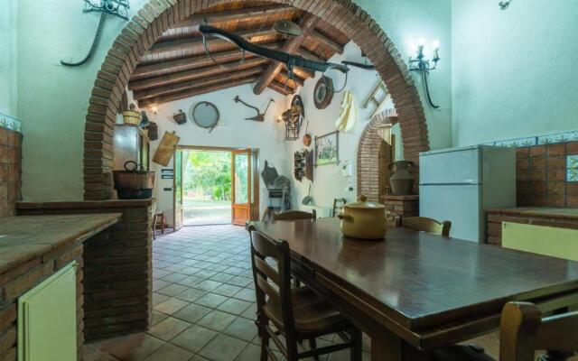 Il Castagno dell'Etna