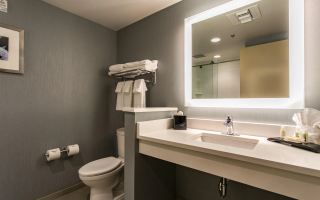 Holiday Inn Hotel & Suites Chattanooga Downtown by IHG