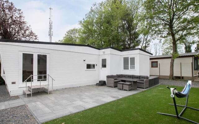 Home in the Dancing Forest