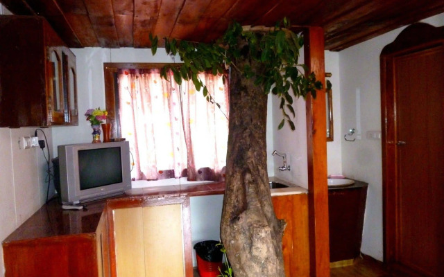 Double Tree Villa