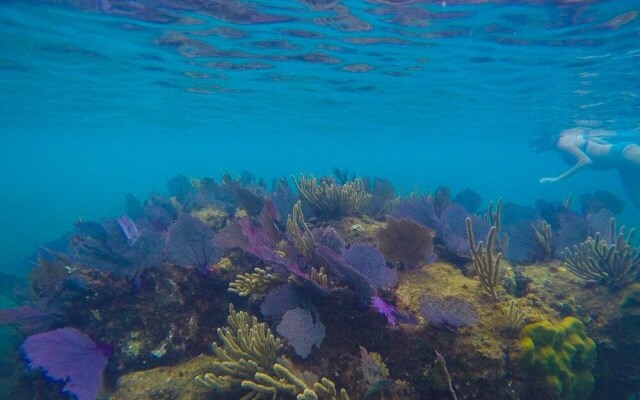 Casa Delfin 3 Bedroom Home