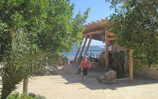 Umbi Sharks Bay Diving Village