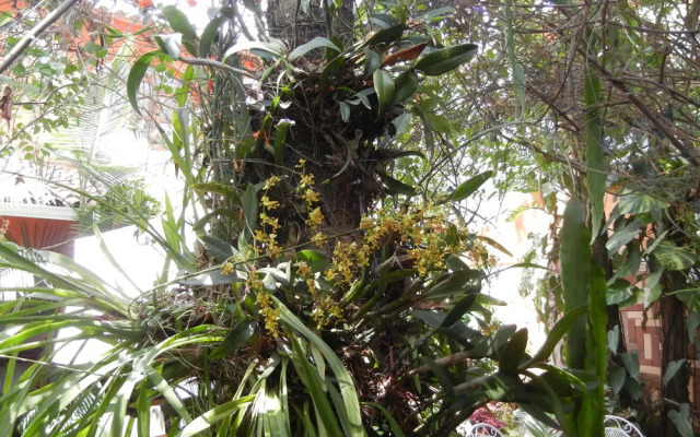 Hotel Boutique Casa Gabriela