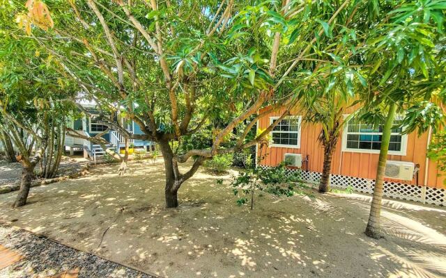 One World Rentals