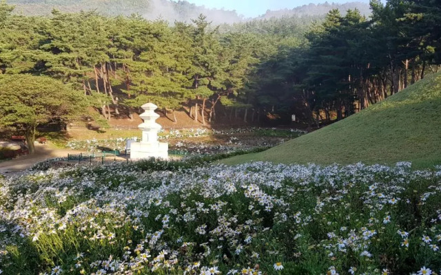 Gujeolcho Guesthouse