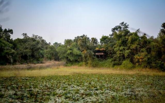 Tree House Hideway Bandhavgarh