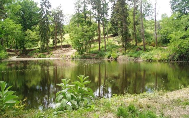 Gîte Montbrison, 2 pièces, 2 personnes - FR-1-496-158