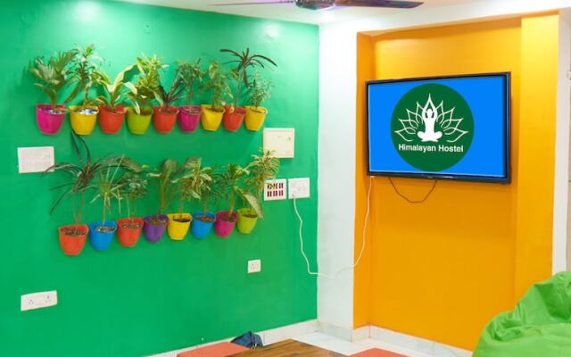 Himalayan Hostel