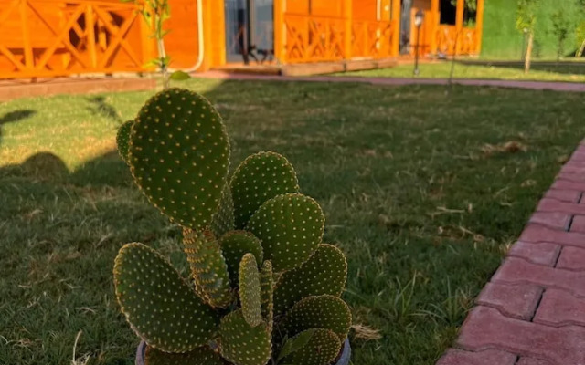 lemon garden bungalow