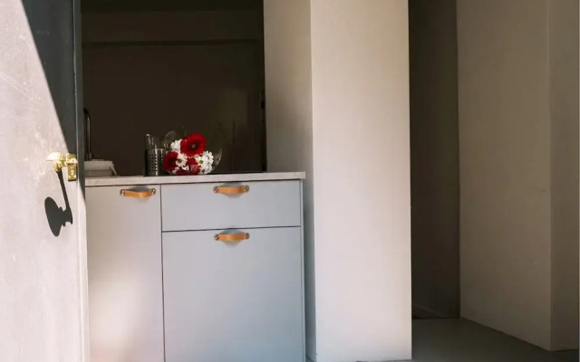 Alex Suite