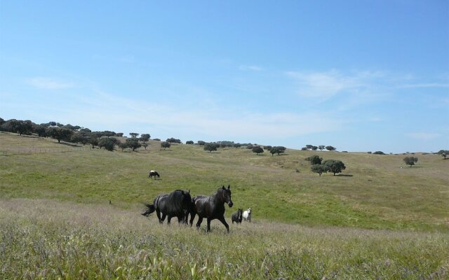 Herdade Naveterra Rural Lodge & Spa