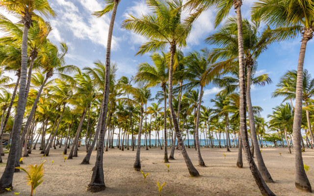 Playa Bachata Resort (ex Riu Mambo)