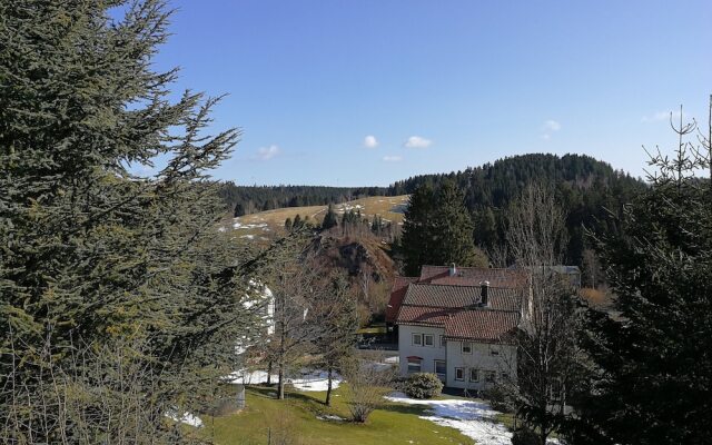 Haus zur Tanne