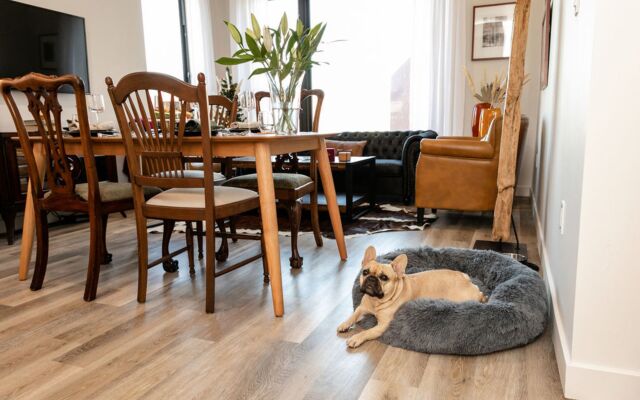 HOLT - Modern, Newly Renovated 2BR in Willits Town Center