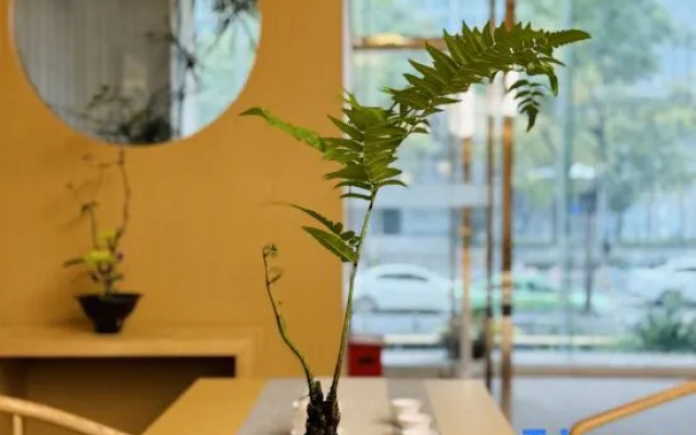 The Hidden House Hotel(Chengdu Chunxi Road Luomashi Subway Station)