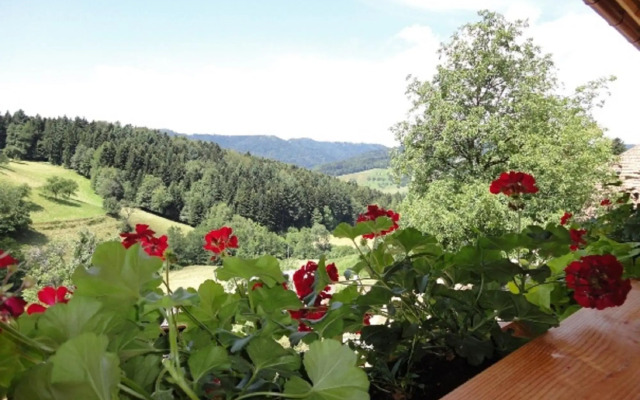 Urlaub im Herrenholz