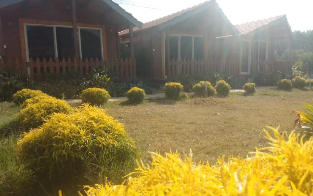 Trippr Chikkamagaluru
