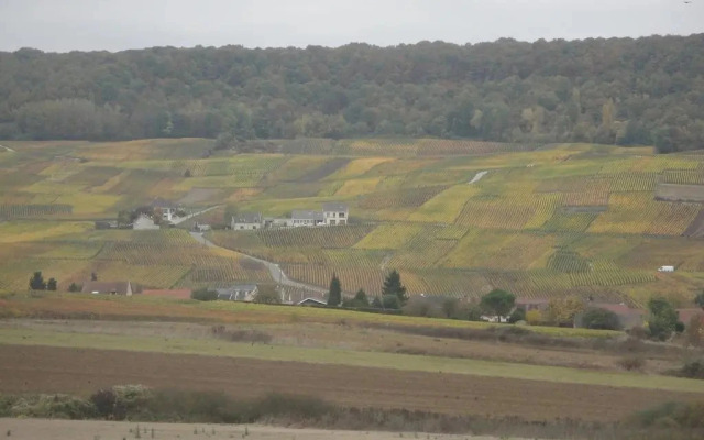 Instant Présent en Champagne