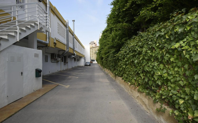 Comercial Lepanto - Fincas Arena