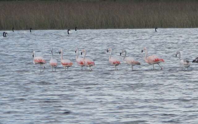 Laguna Garzon Lodge