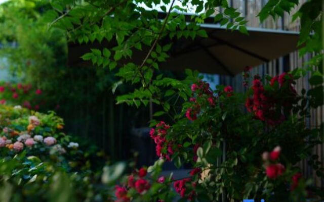 Wild Life Anji Field Design Homestay