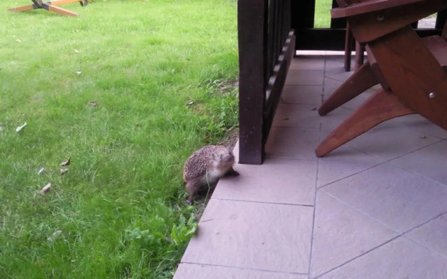 Pokoje Goscinne Ewa Nowicka