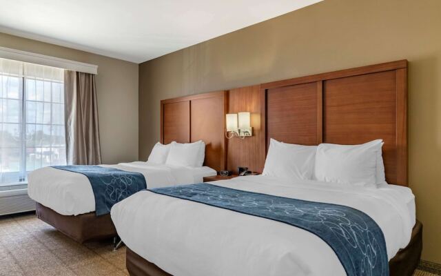 Comfort Suites Buda - Austin South