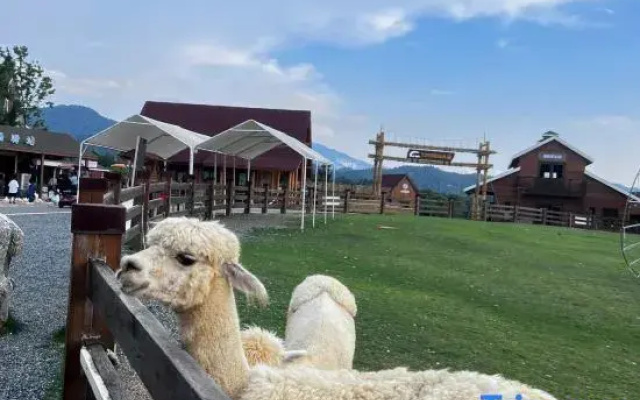 Wugongshan Lijing Homestay