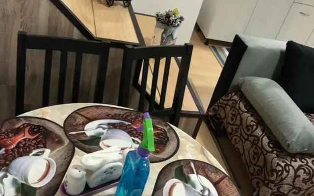 Serban Home Arenele Romane Marius Nasta