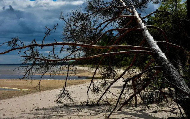 Atputas Vieta Braltirumi