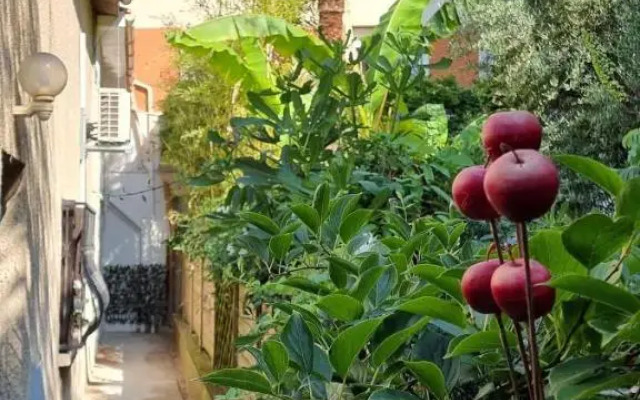 Studio Simone - Terrasse Et Jardin - Tv - Wifi