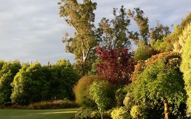 Garden View Bed & Breakfast