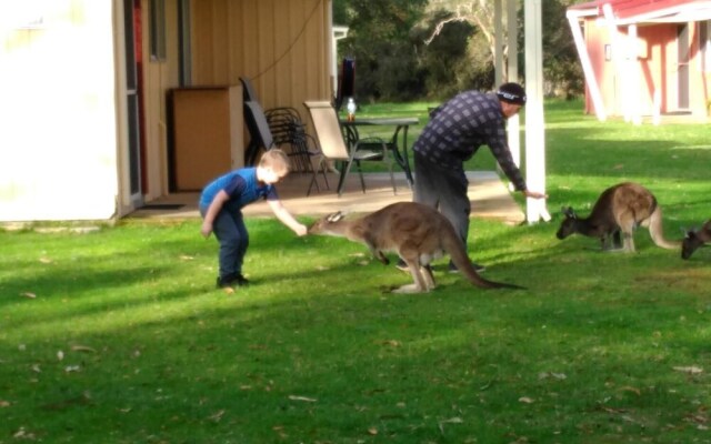 Kalgan River Chalets & Caravan Park