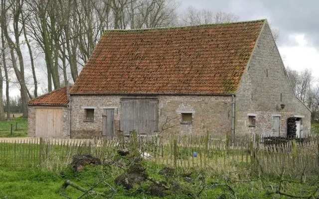 B&B Masschersheule